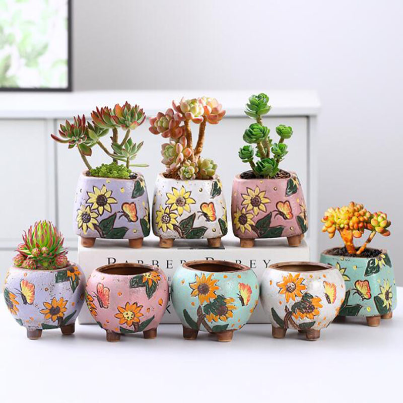 Echeveria Succulent - Kore Tarzı Ayçiçeği Desen Etli saksı