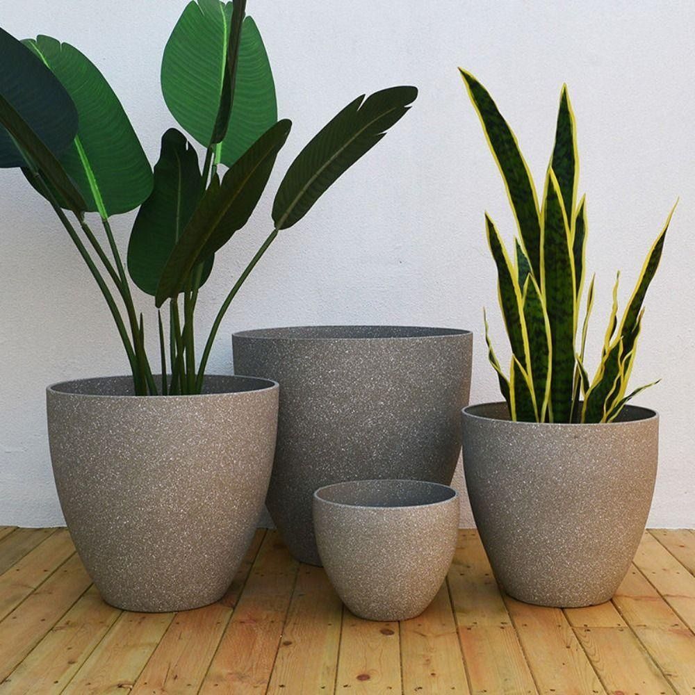 Aloe Vera Pot - Buzlu İmitasyon Taş Bonsai Saksı Balkon