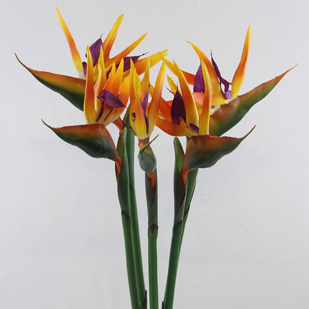 Bird Paradise Strelitzia - 1 adet 80cm çiçek kuş cennet