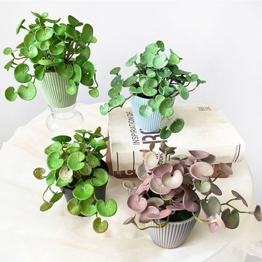 Echeveria Succulent - Yumuşak Tutkal Yapay Bitki EVA Yeşil