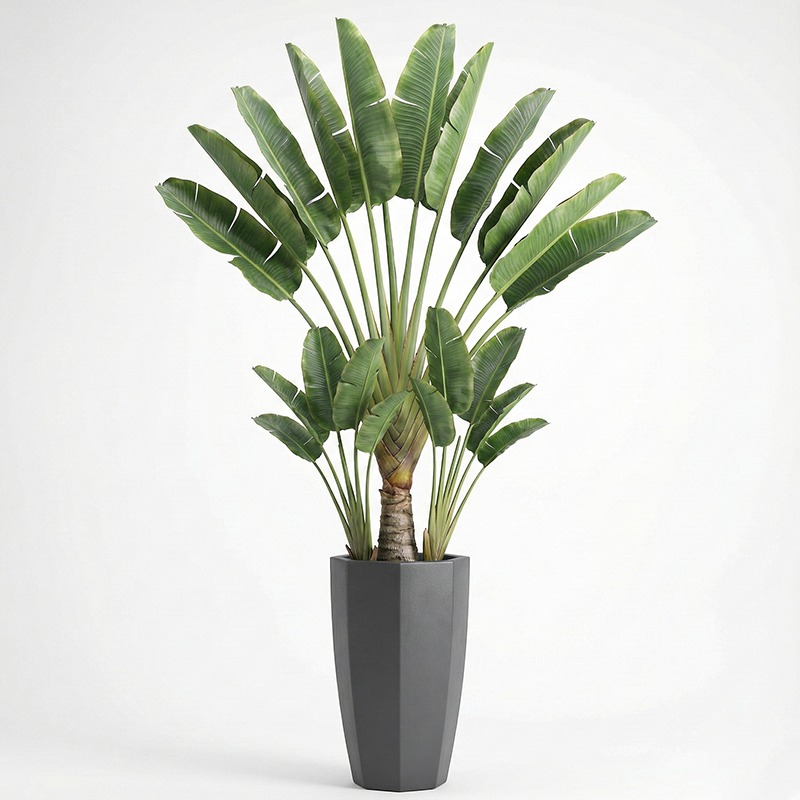 Ficus Lyrata Tree - Yüksek Simülasyonlu Plastik Keman Yaprağı İncir
