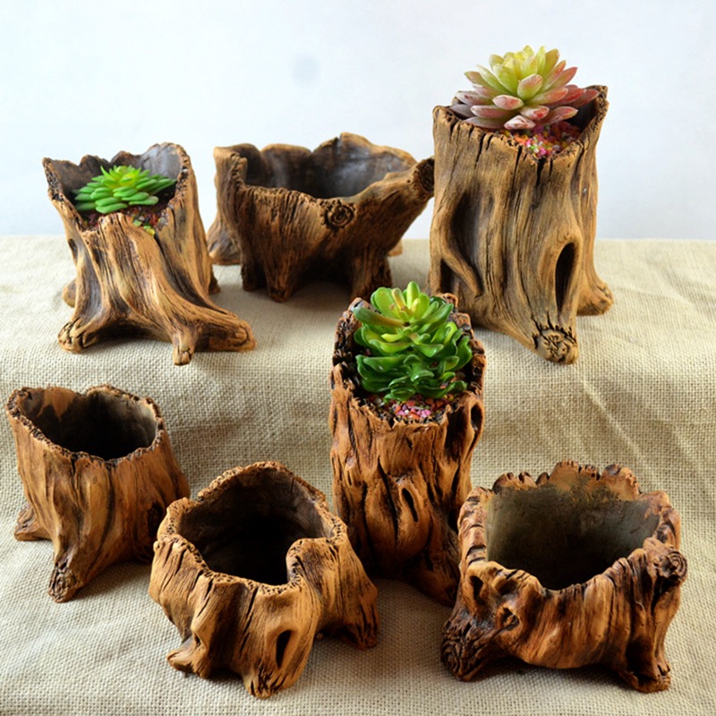 Echeveria Succulent - Taklit Ahşap Kazıklar Ağaç Kökleri Bitki