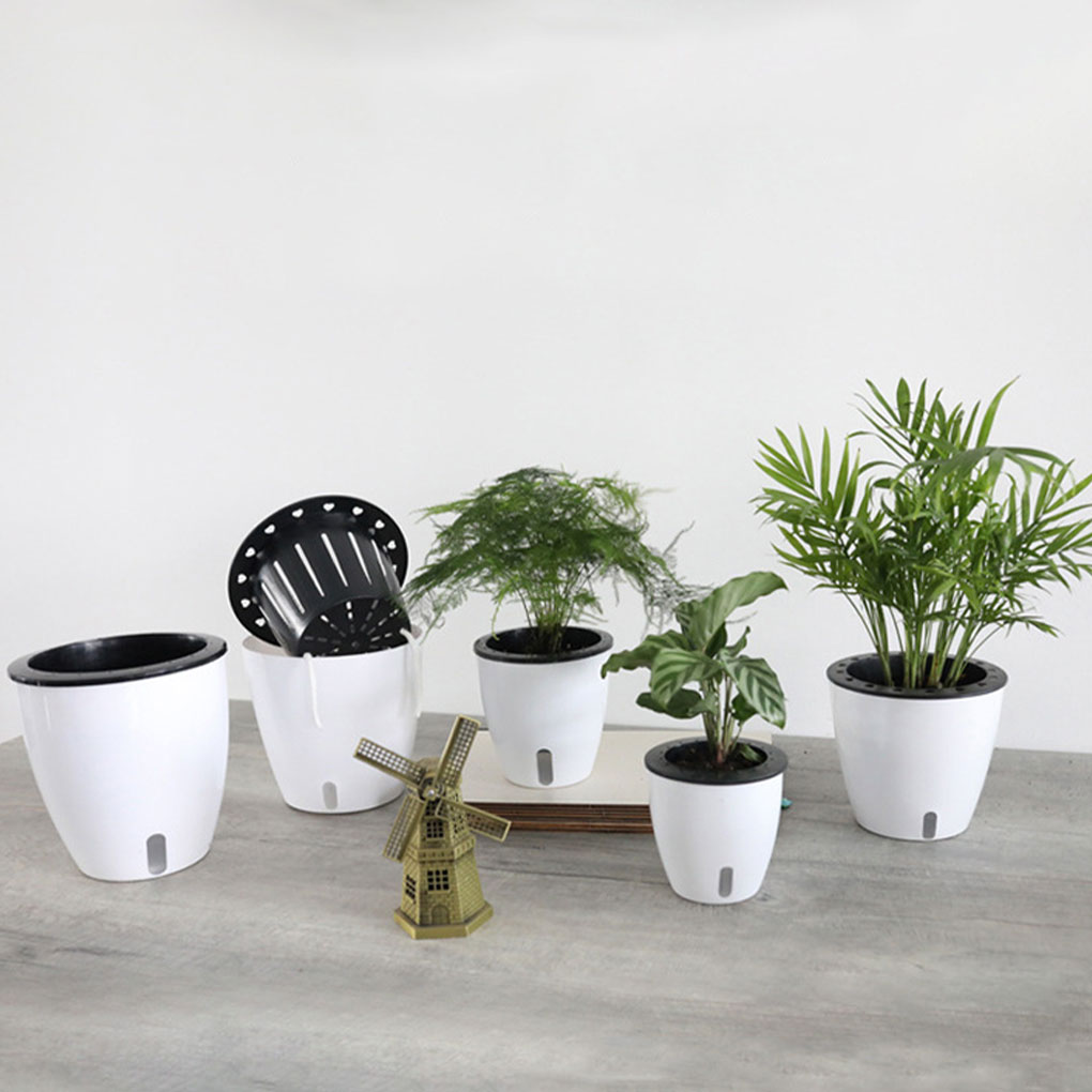 Aloe Vera Pot - Beyaz Taşınabilir Ve Çevre Dostu Bitki