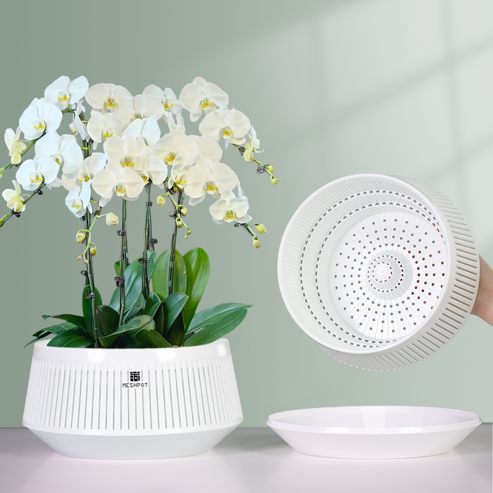 Aloe Vera Pot - Delikli Meshpot Orkide Saksısı Plastik Saksı