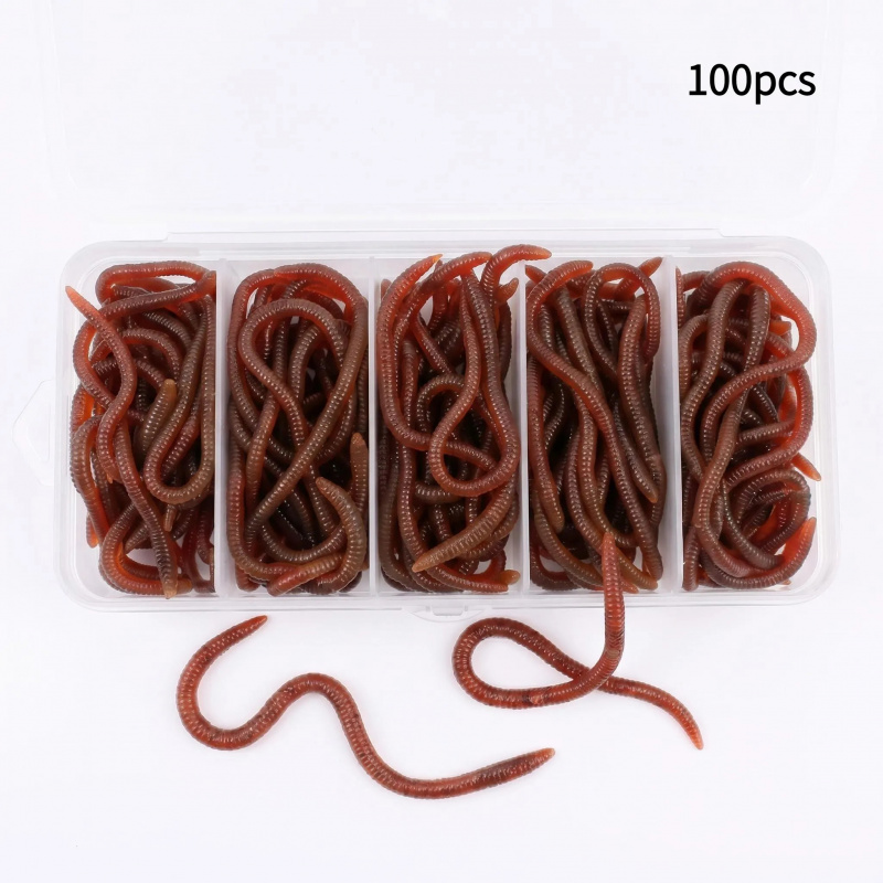 Aglaonema Red - 100 adet Yumuşak Yem Levrek Çipura