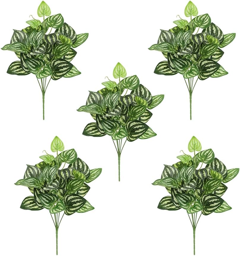 Peperomia Watermelon - 5 adet Karpuz Peperomia Yapay Bitki