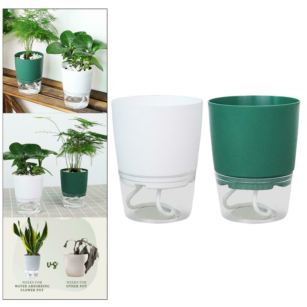Aloe Vera Pot - Tembel hidroponik saksı otomatik su emici