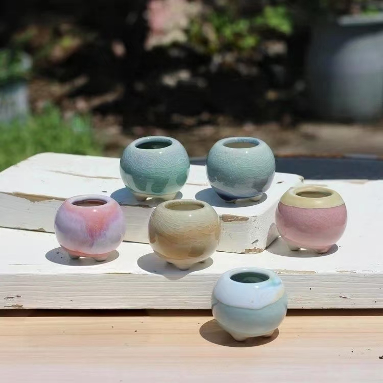 Echeveria Succulent - 6 Adet Mini Saksı Succulents Küçük