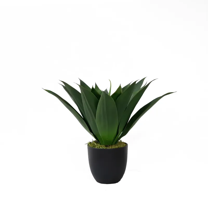 Aloe Vera Pot - Yapay Saksılı Aloe Vera Bitkisi Bonsai,