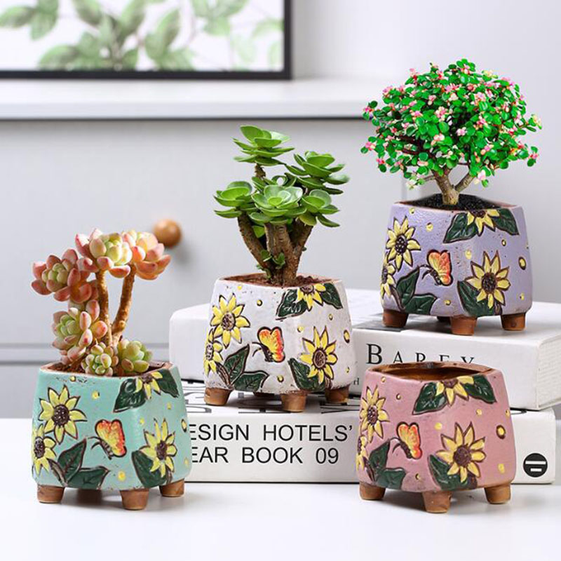 Kore Tarzı Ayçiçeği Desen Etli - Echeveria Succulent incelemesi ve fiyatı