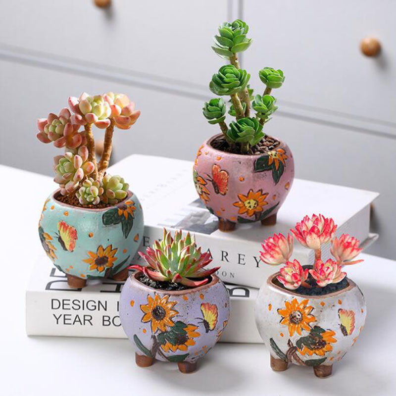 Kore Tarzı Ayçiçeği Desen Etli - Echeveria Succulent incelemesi ve fiyatı