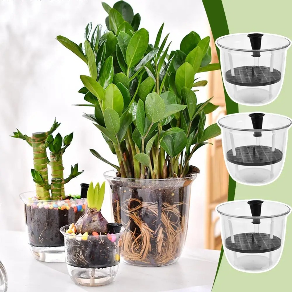 2 Adet Kendiliğinden Sulanan S - Aloe Vera Pot incelemesi ve fiyatı