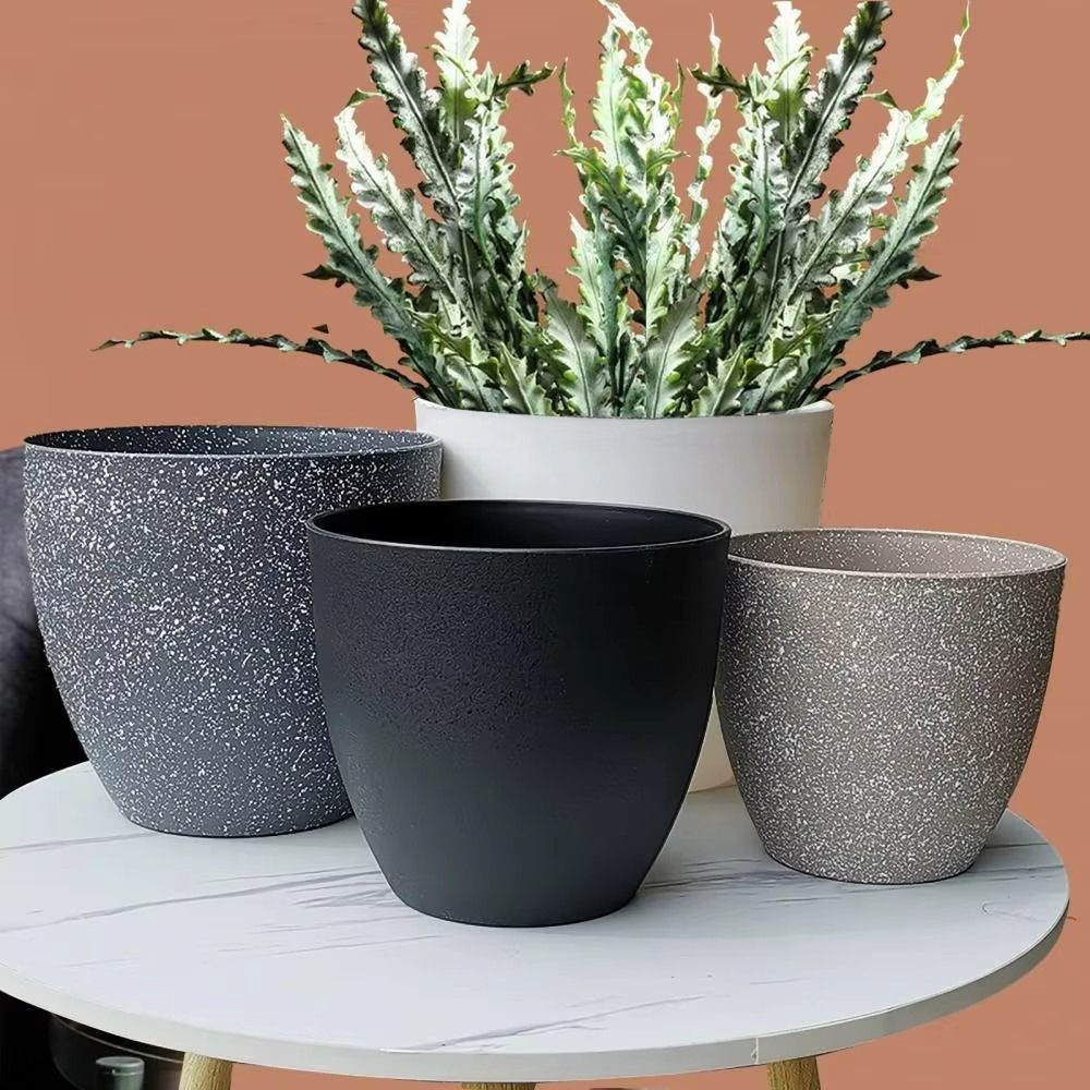 Buzlu İmitasyon Taş Bonsai Sak - Aloe Vera Pot incelemesi ve fiyatı