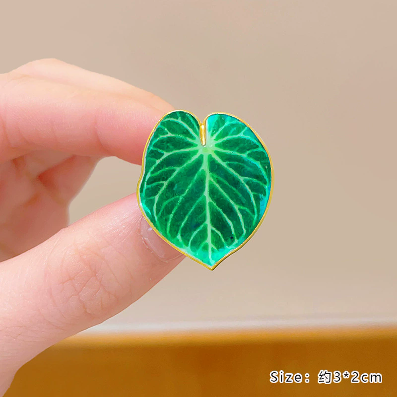 Saksı Bitkisi Broşu Monstera A - Aloe Vera Pot incelemesi ve fiyatı