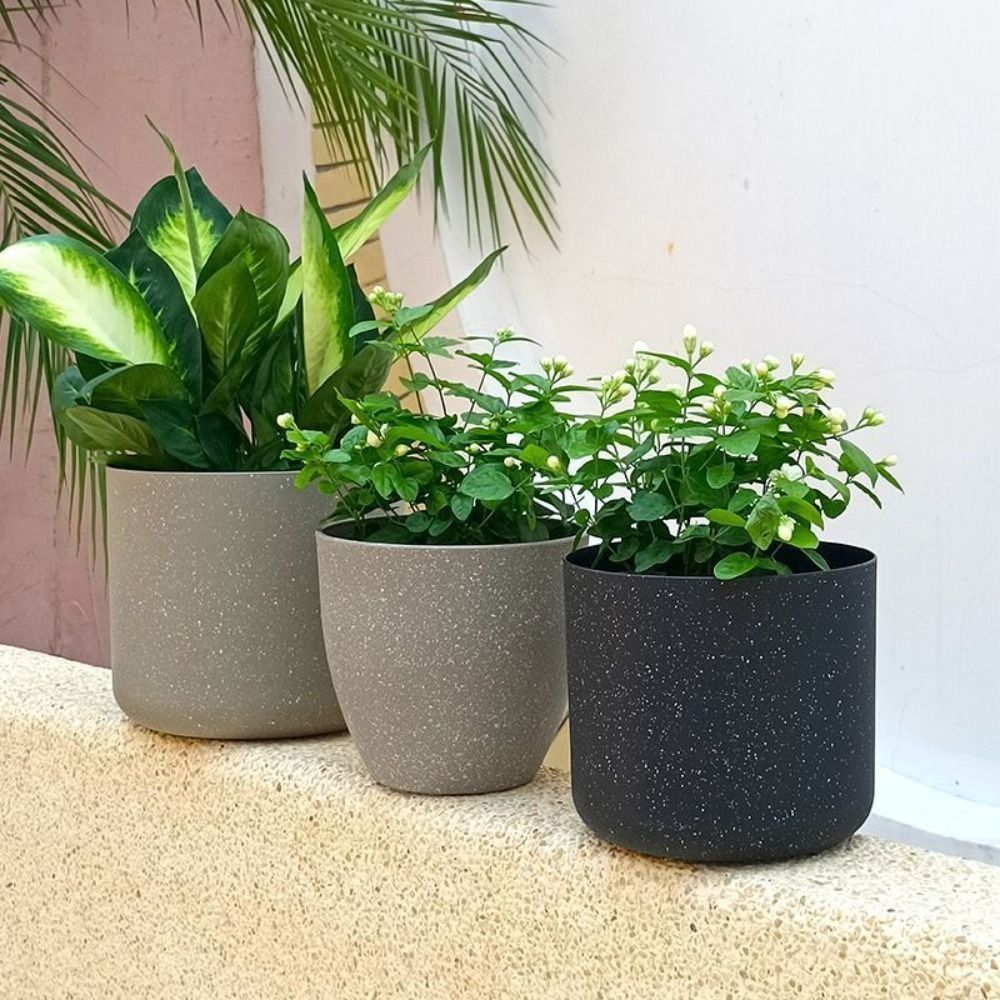 Buzlu İmitasyon Taş Saksılar B - Aloe Vera Pot incelemesi ve fiyatı