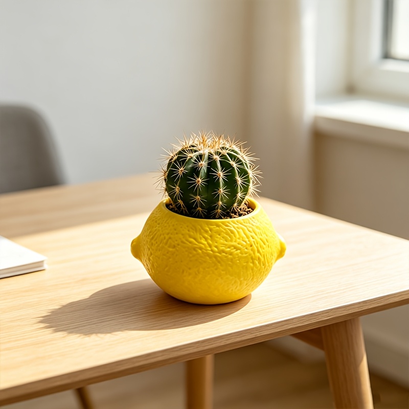 Limon Şeklinde Dekoratif Saksı - Echeveria Succulent incelemesi ve fiyatı