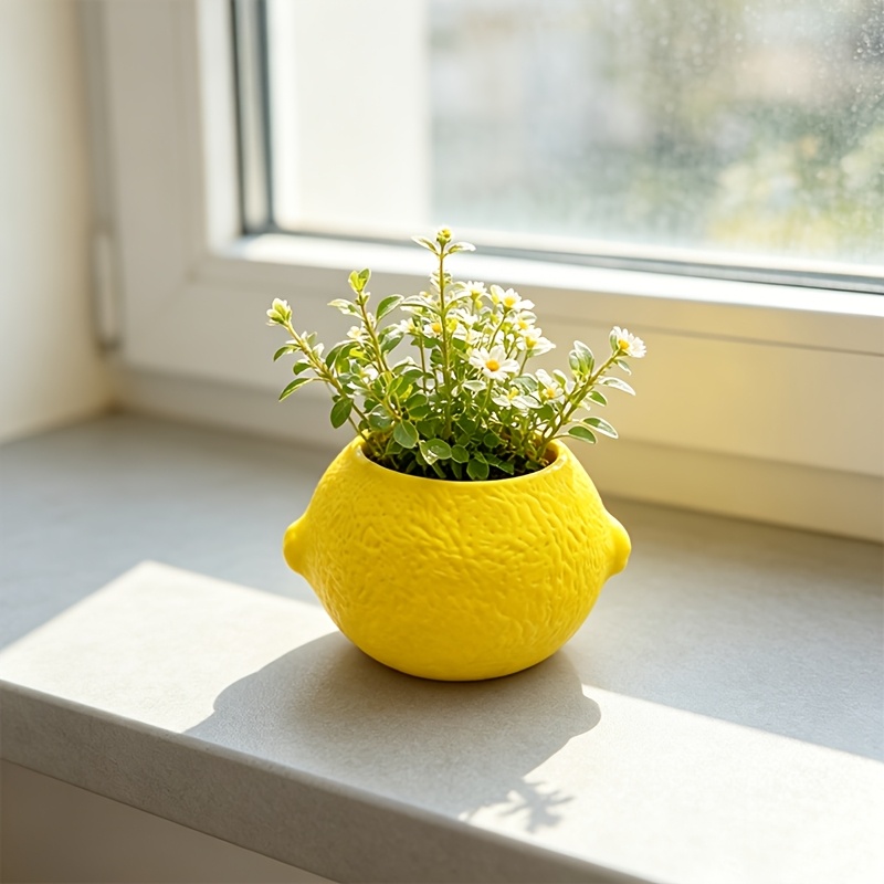 Limon Şeklinde Dekoratif Saksı - Echeveria Succulent incelemesi ve fiyatı