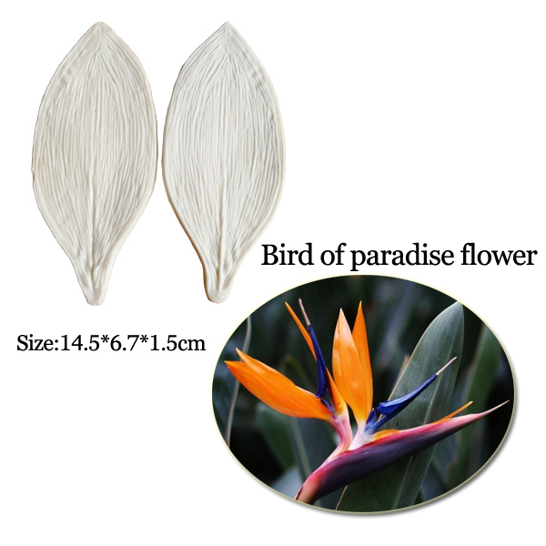 Büyük Gumpaste Strelitzia kuşl - Bird Paradise Strelitzia incelemesi ve fiyatı