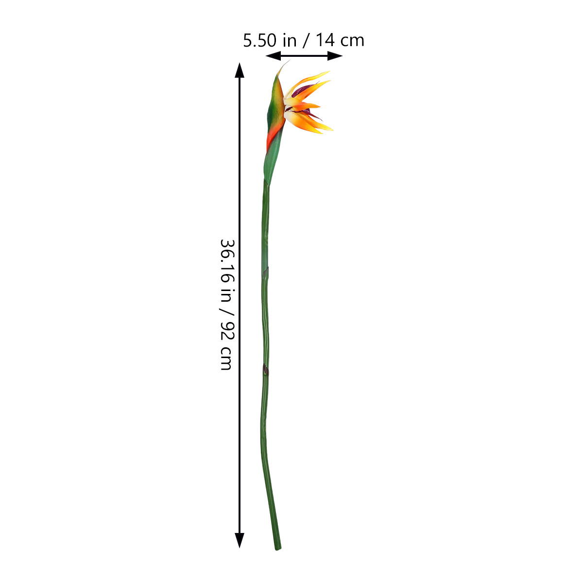 Yapay Cennet Kuşu Çiçeği Gerçe - Bird Paradise Strelitzia incelemesi ve fiyatı