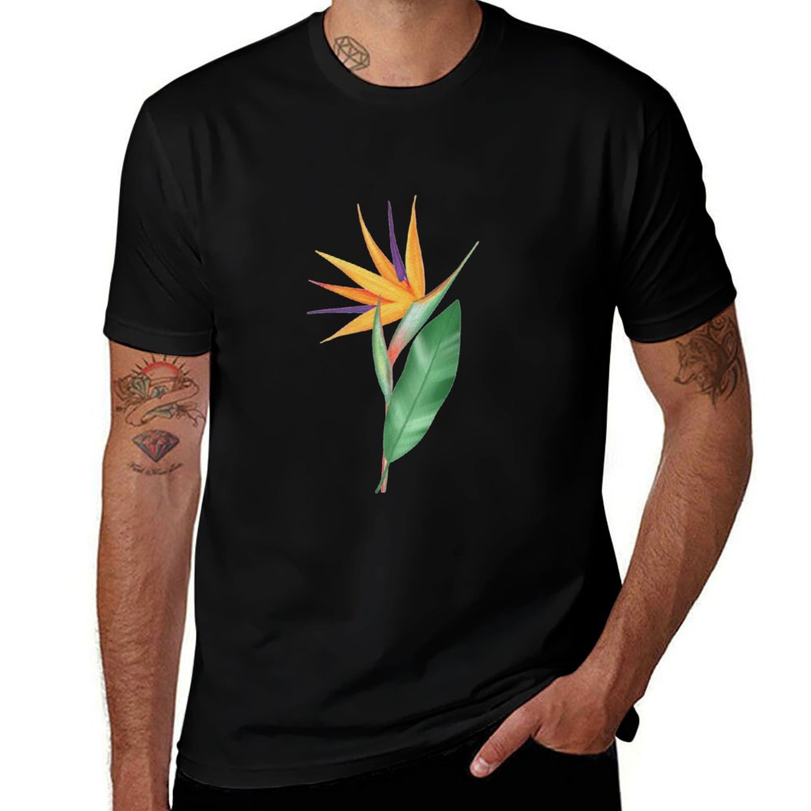 Suluboya cennet kuşu çiçeği ve - Bird Paradise Strelitzia incelemesi ve fiyatı