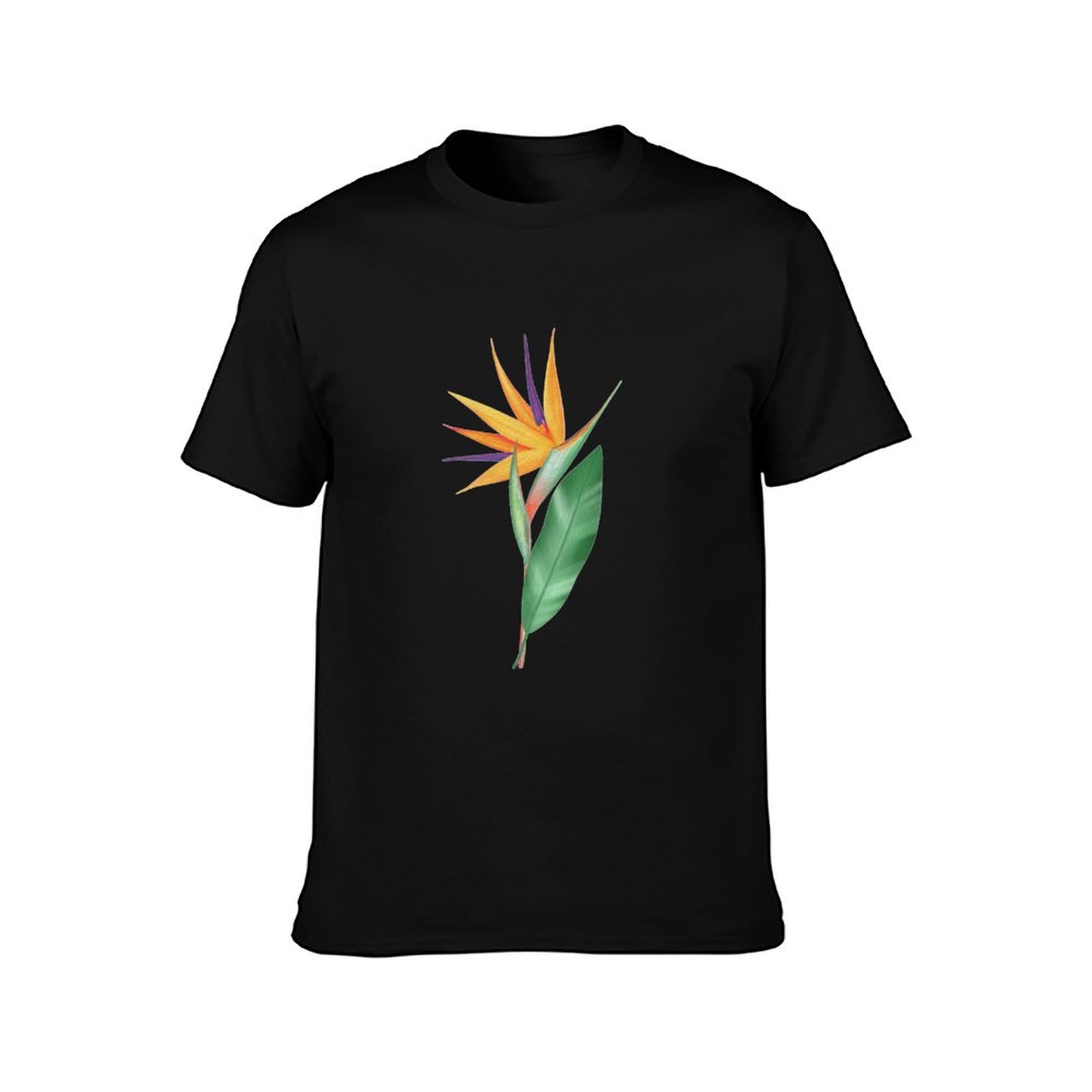 Suluboya cennet kuşu çiçeği ve - Bird Paradise Strelitzia incelemesi ve fiyatı
