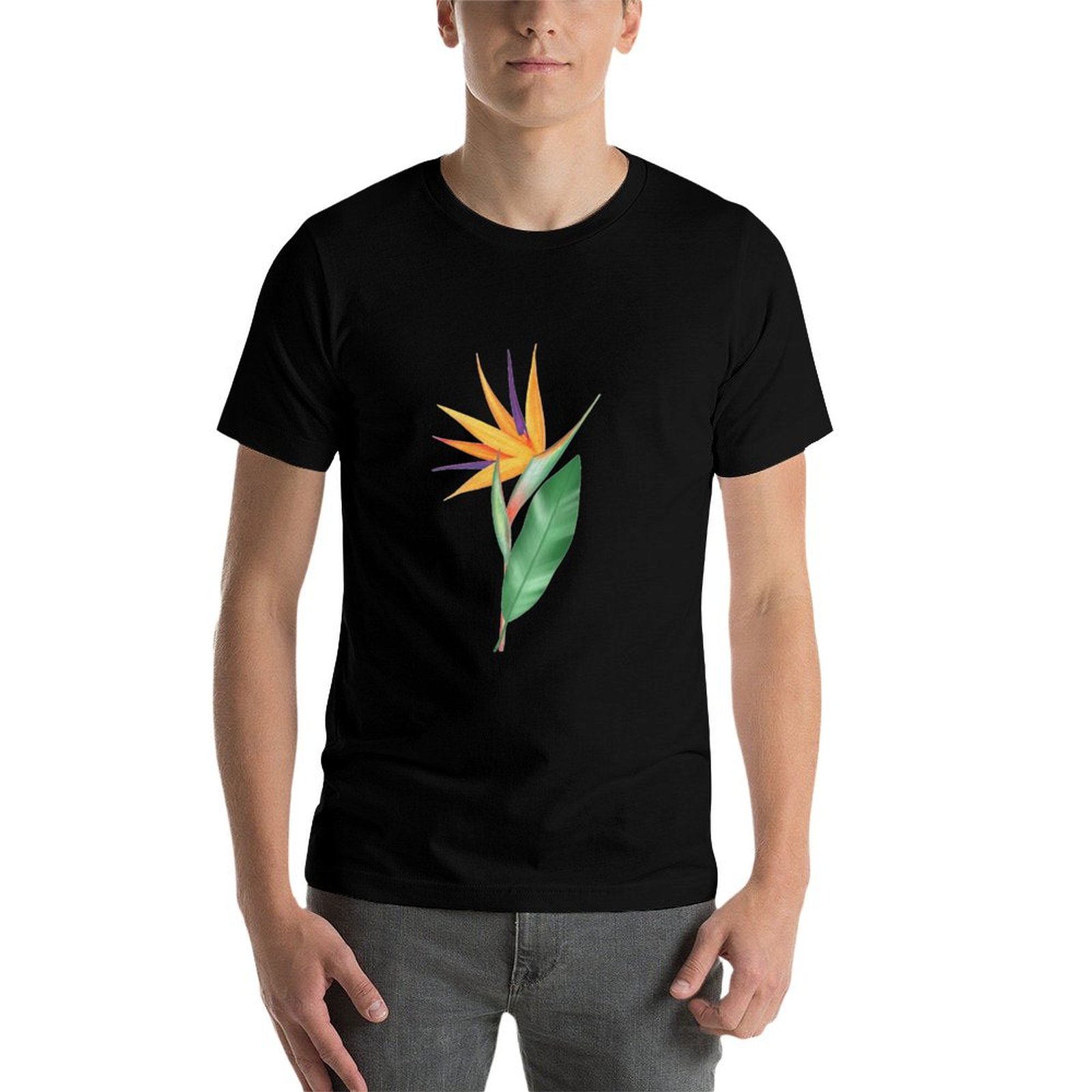 Suluboya cennet kuşu çiçeği ve - Bird Paradise Strelitzia incelemesi ve fiyatı