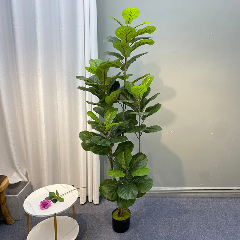 59in büyük Ficus ağacı yapay b - Ficus Lyrata Tree incelemesi ve fiyatı