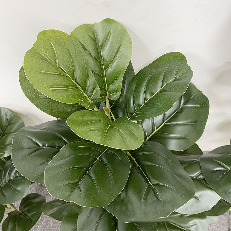 59in büyük Ficus ağacı yapay b - Ficus Lyrata Tree incelemesi ve fiyatı
