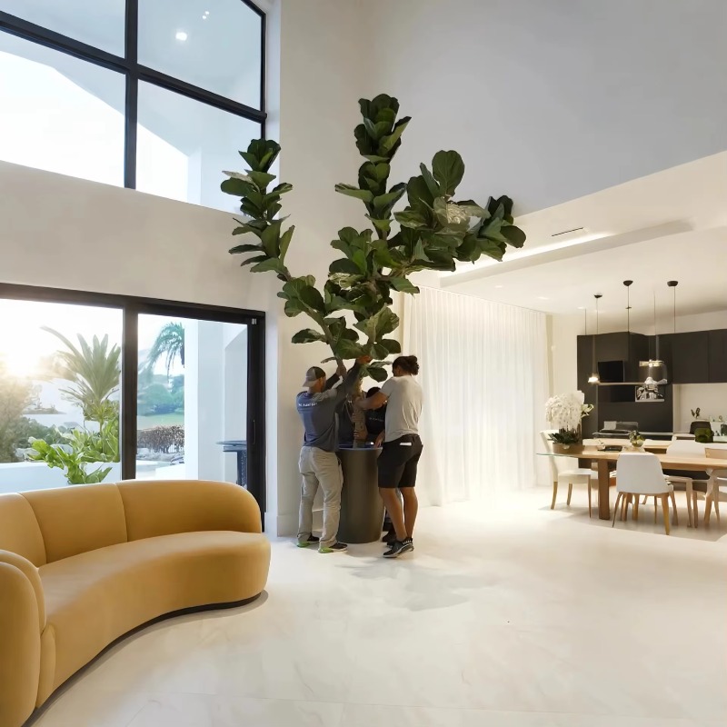 Yapay Bitkiler İç Mekan Saksı  - Ficus Lyrata Tree incelemesi ve fiyatı