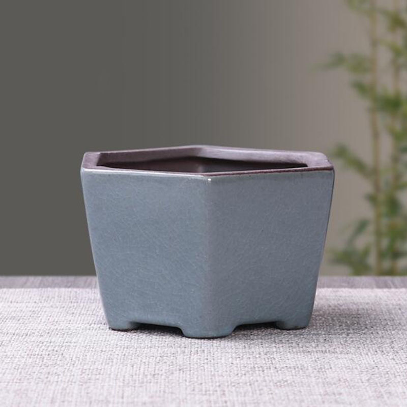 Retro seramik saksı kuşkonmaz  - Echeveria Succulent incelemesi ve fiyatı