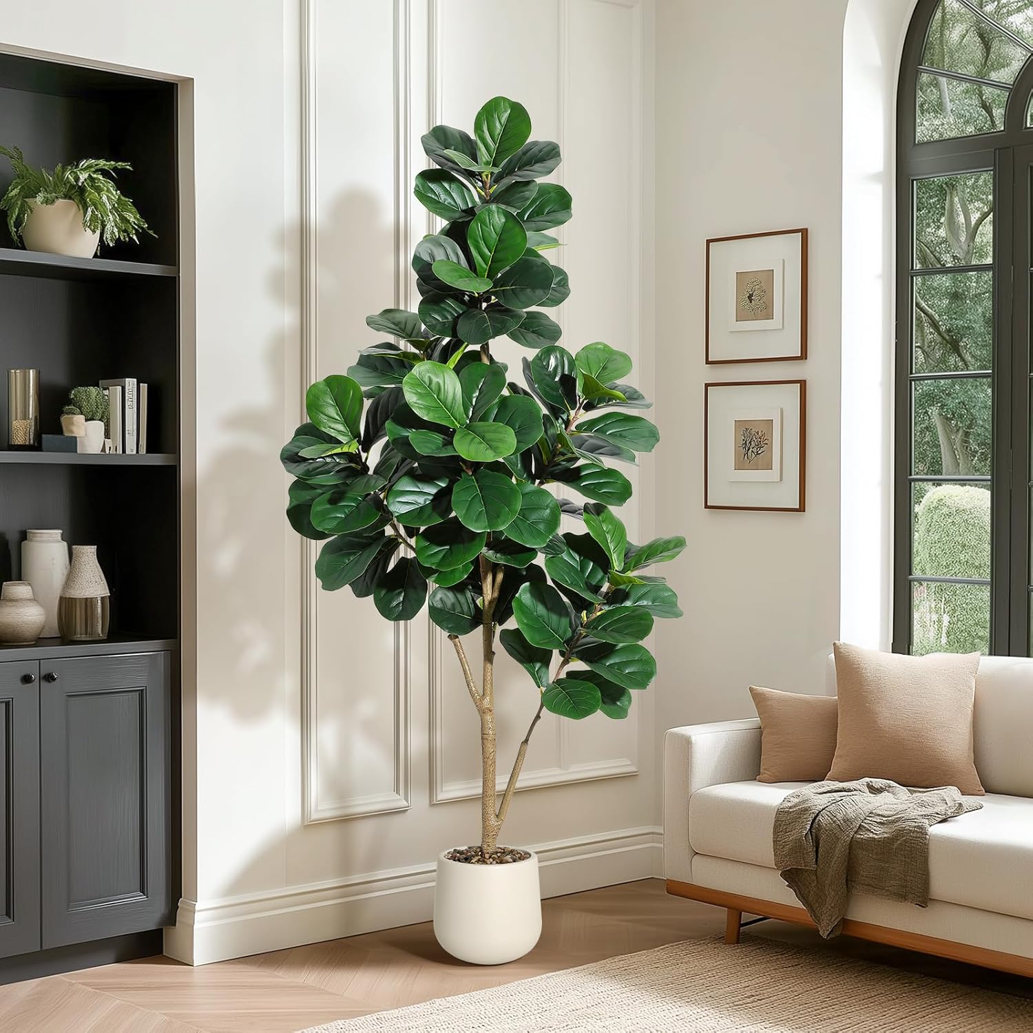 4-7 FT Fiddle Leaf Fig Ağacı Y - Ficus Lyrata Tree incelemesi ve fiyatı