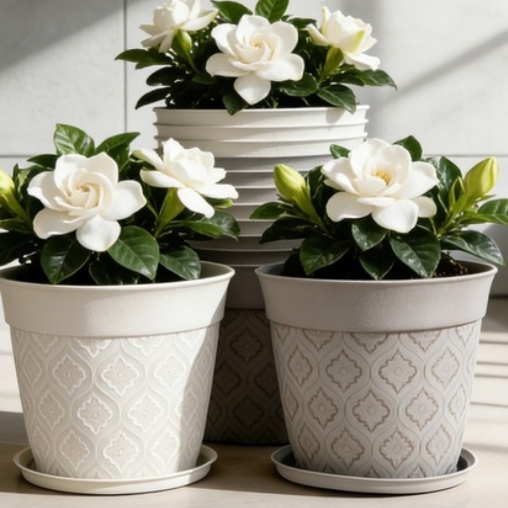 8 inç Çiçek Saksısı Drenaj Del - Echeveria Succulent incelemesi ve fiyatı