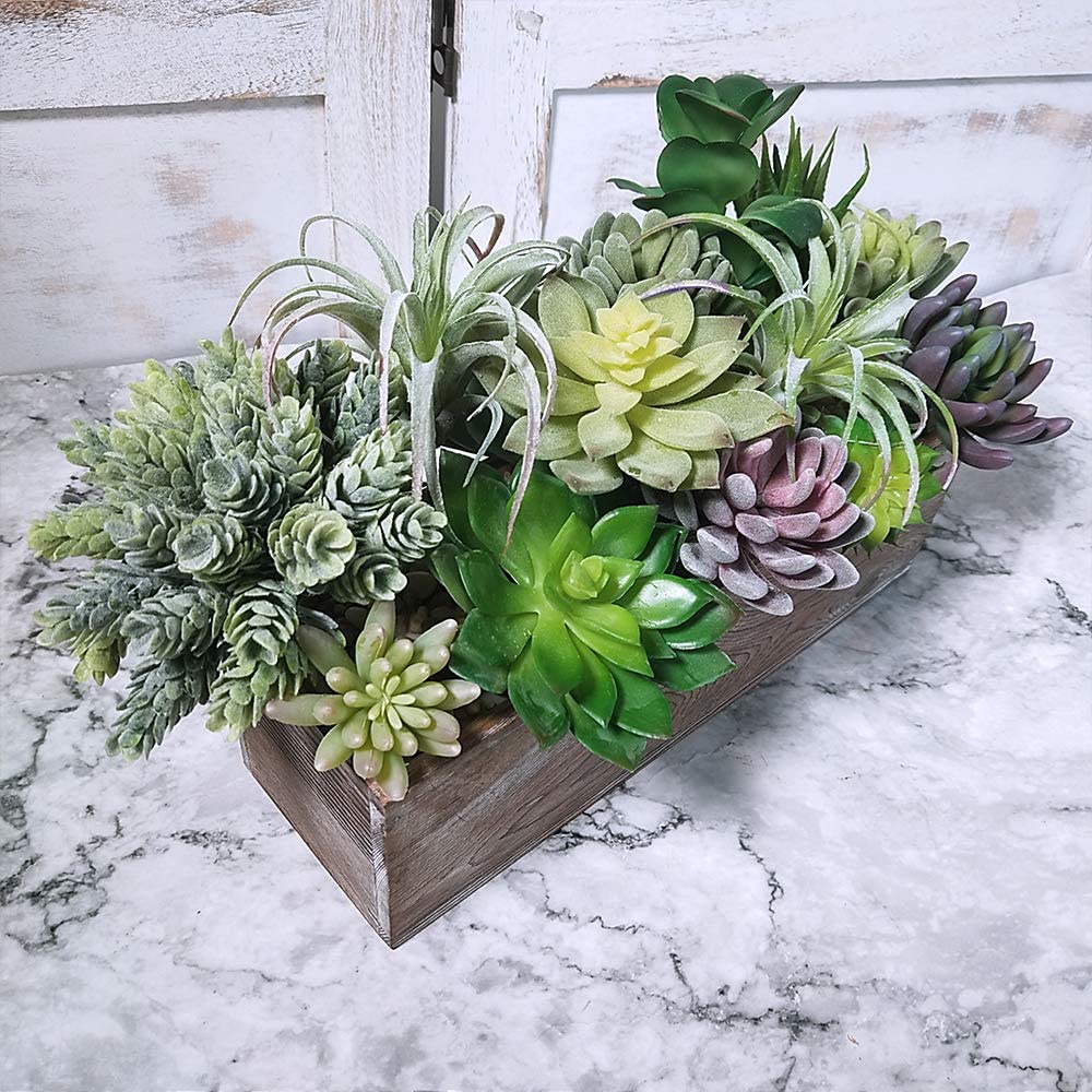 15'li Paket Çeşitli Yapay Suku - Echeveria Succulent incelemesi ve fiyatı