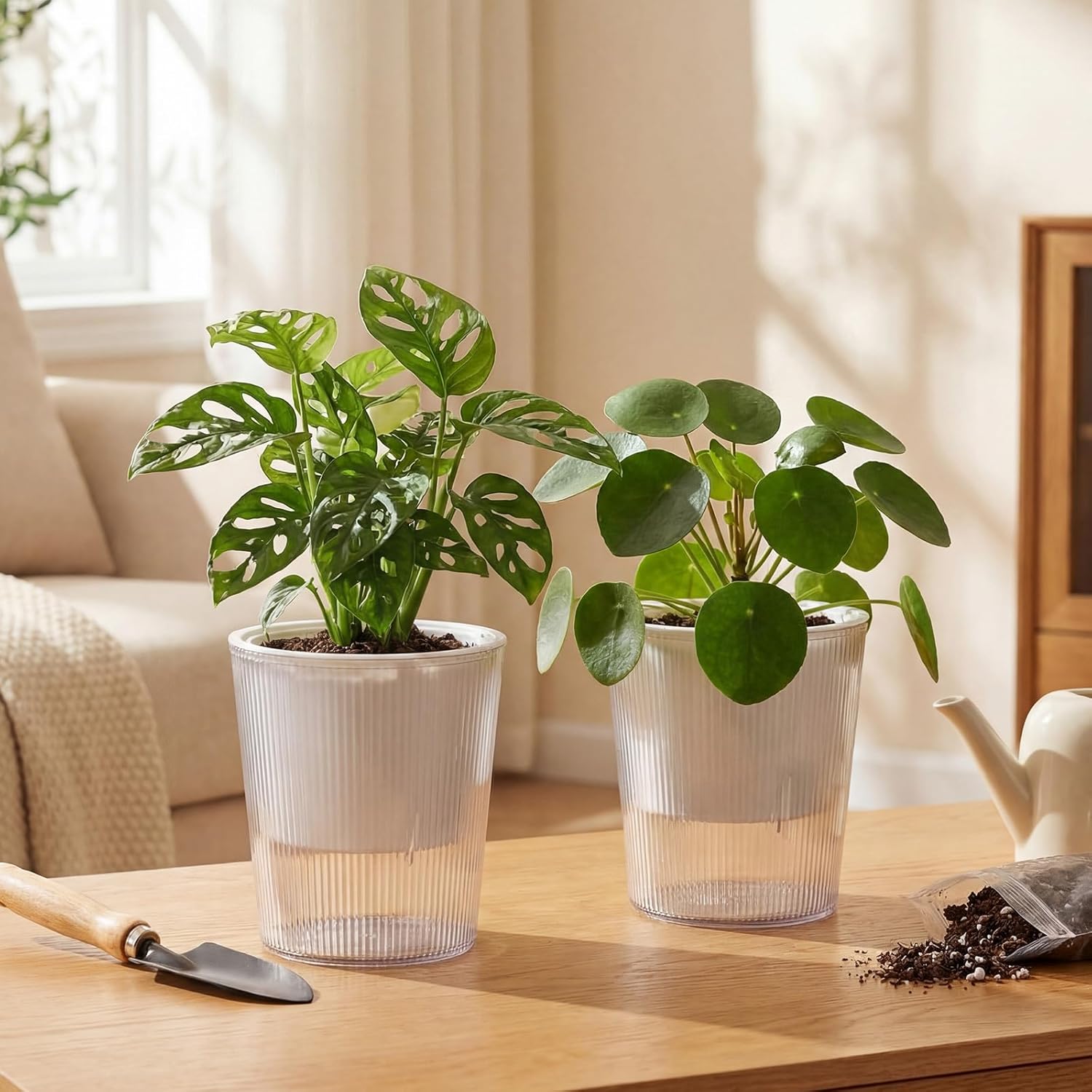 Şeffaf Kendinden Sulanan Saksı - Aloe Vera Pot incelemesi ve fiyatı