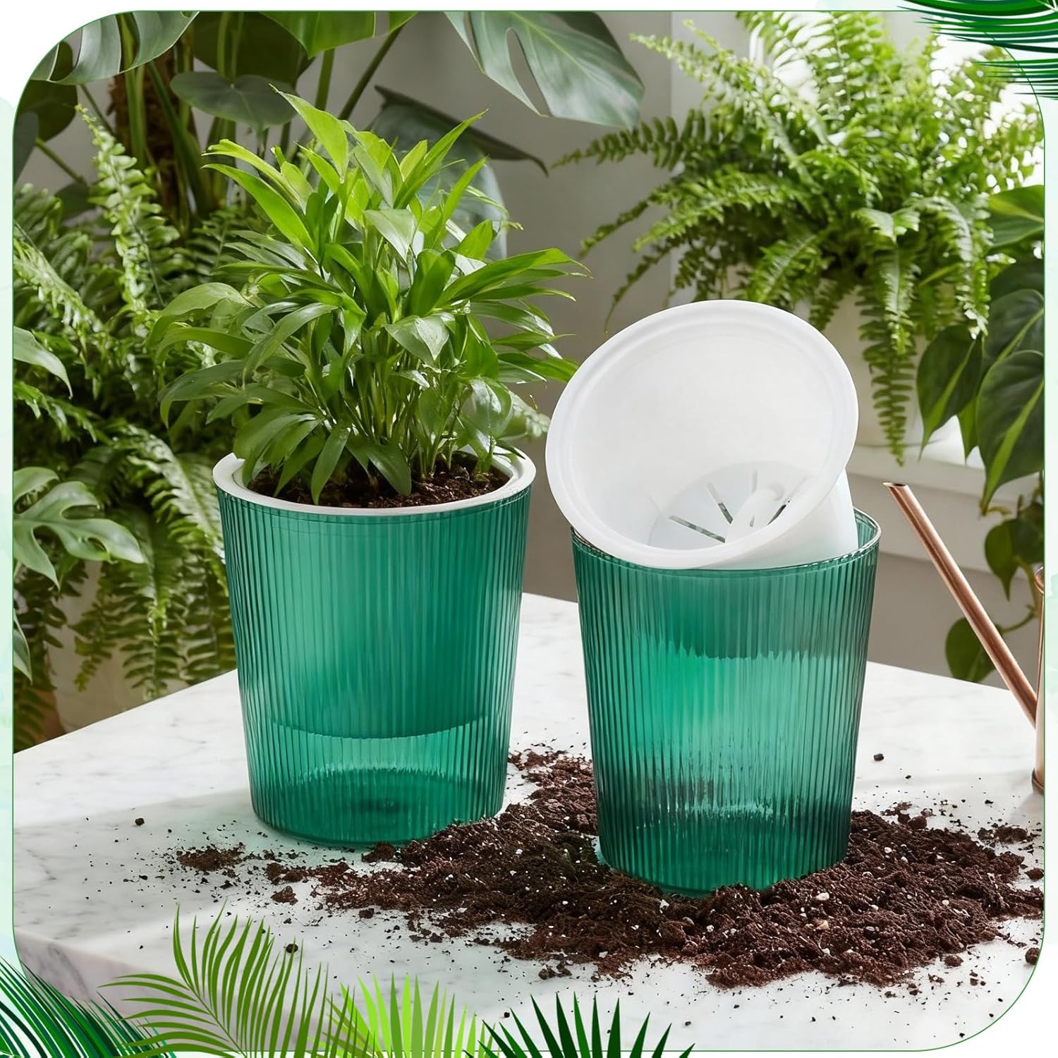 Şeffaf Kendinden Sulanan Saksı - Aloe Vera Pot incelemesi ve fiyatı