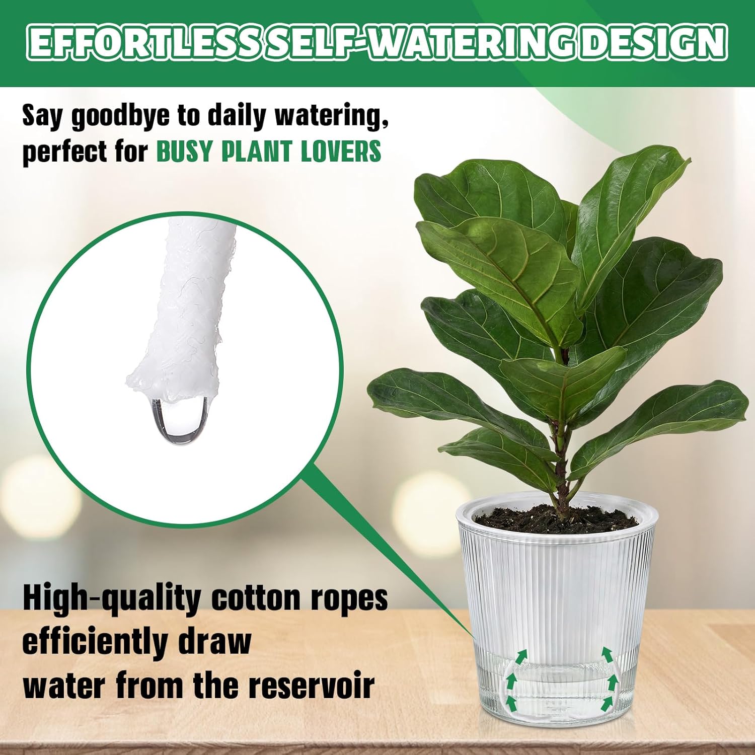 Şeffaf Kendinden Sulanan Saksı - Aloe Vera Pot incelemesi ve fiyatı