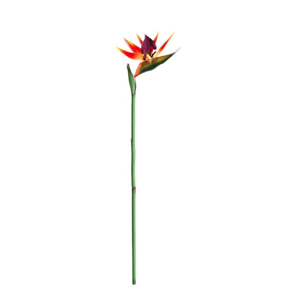 Uzun Saplı Yapay Cennet Kuşu D - Bird Paradise Strelitzia incelemesi ve fiyatı