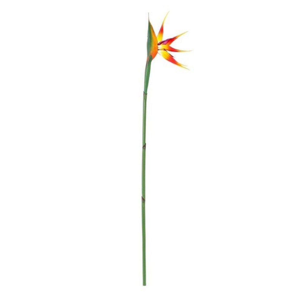Uzun Saplı Yapay Cennet Kuşu D - Bird Paradise Strelitzia incelemesi ve fiyatı
