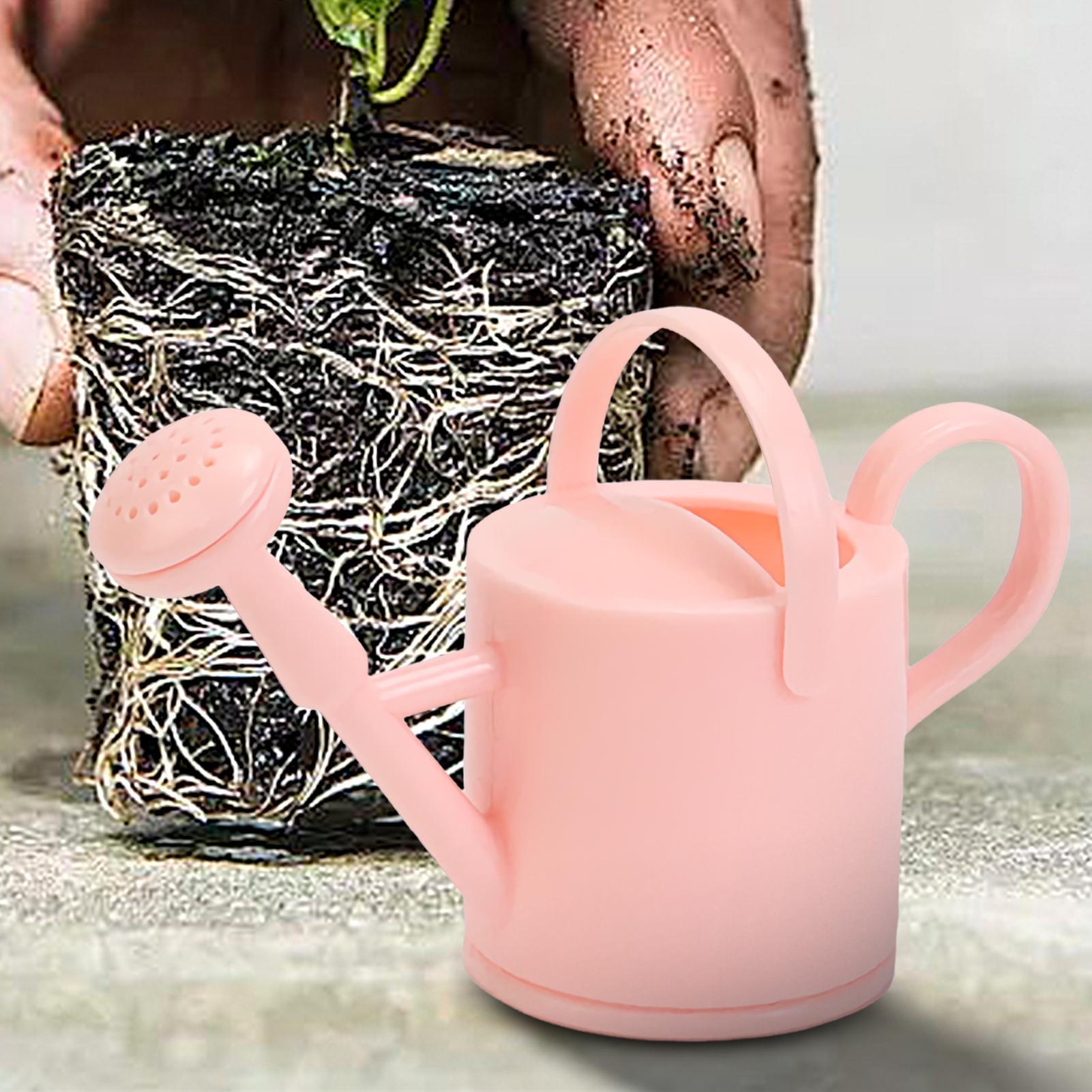 Küçük Çocuklar Sulama Kovası E - Echeveria Succulent incelemesi ve fiyatı
