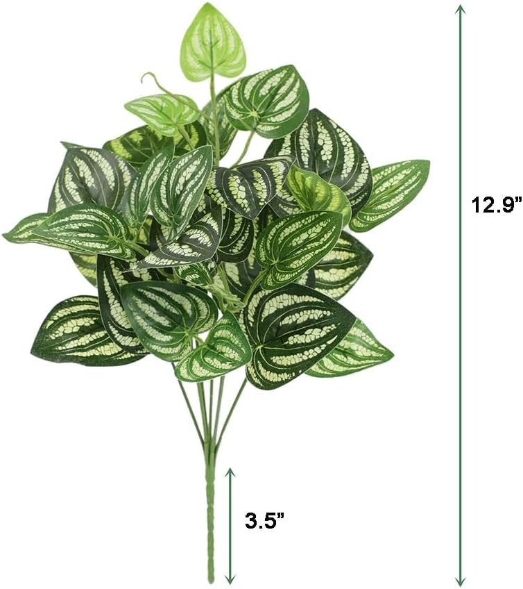 5 adet Karpuz Peperomia Yapay  - Peperomia Watermelon incelemesi ve fiyatı