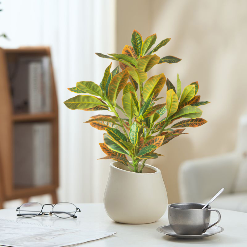 24-41 cm Yapay Bitkiler Sahte  - Ficus Lyrata Tree incelemesi ve fiyatı