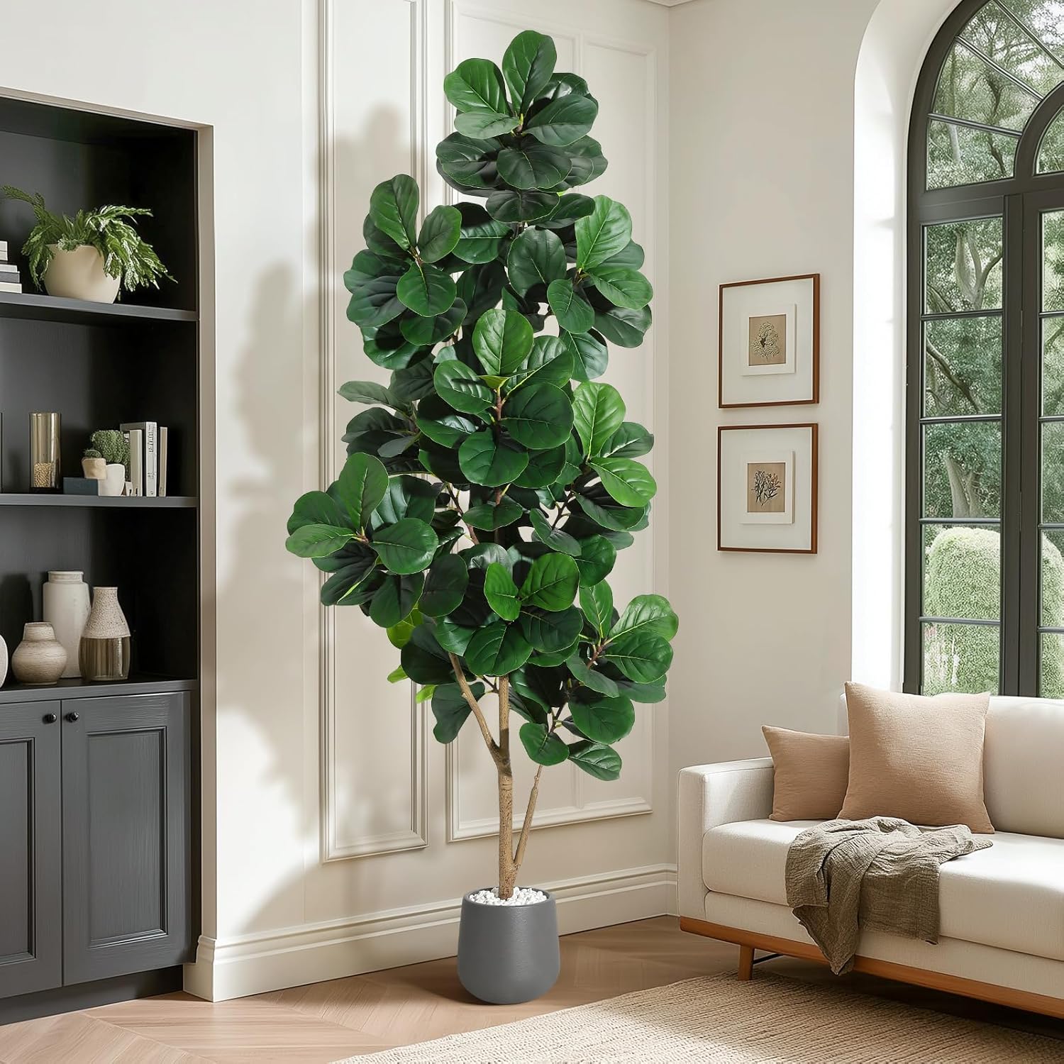 4FT/5FT/6FT/7FT Keman Yaprağı  - Ficus Lyrata Tree incelemesi ve fiyatı