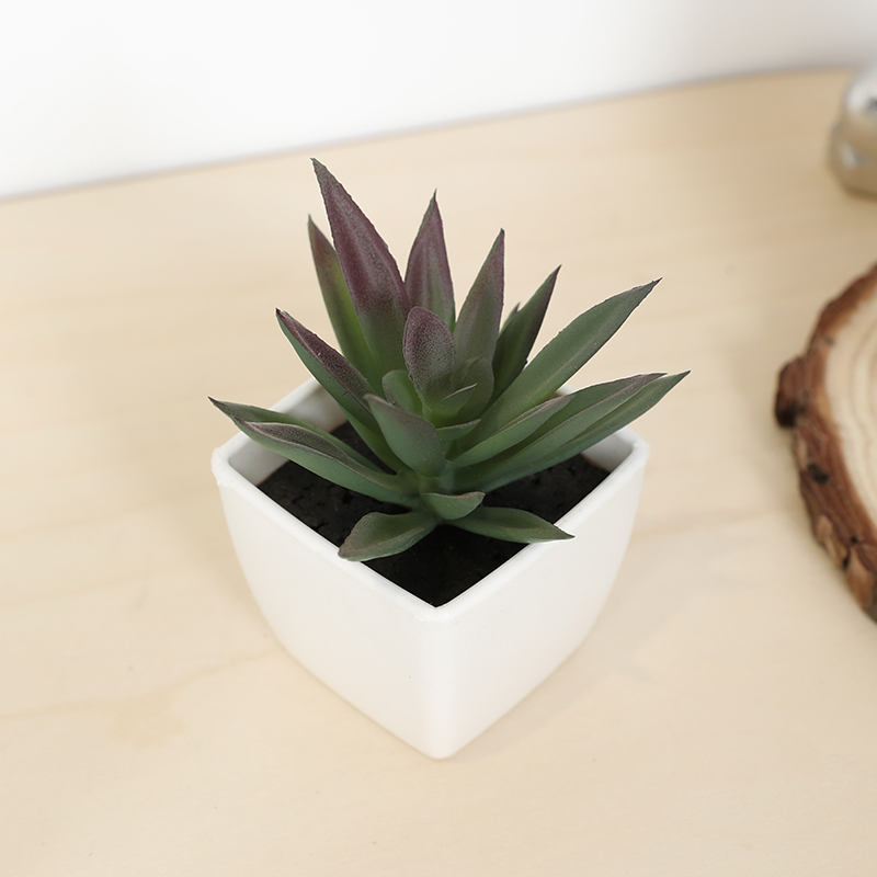 Mini Yapay Etli Peri Bardağı K - Echeveria Succulent incelemesi ve fiyatı