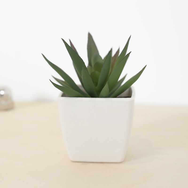 Mini Yapay Etli Peri Bardağı K - Echeveria Succulent incelemesi ve fiyatı