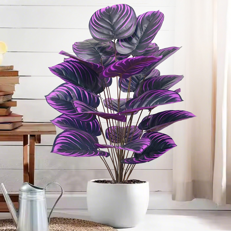 57-75 cm Büyük Sahte Palmiye A - Ficus Lyrata Tree incelemesi ve fiyatı
