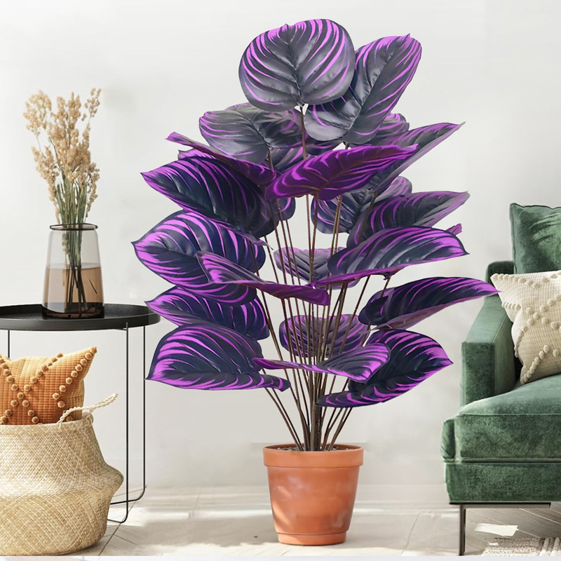 57-75 cm Büyük Sahte Palmiye A - Ficus Lyrata Tree incelemesi ve fiyatı