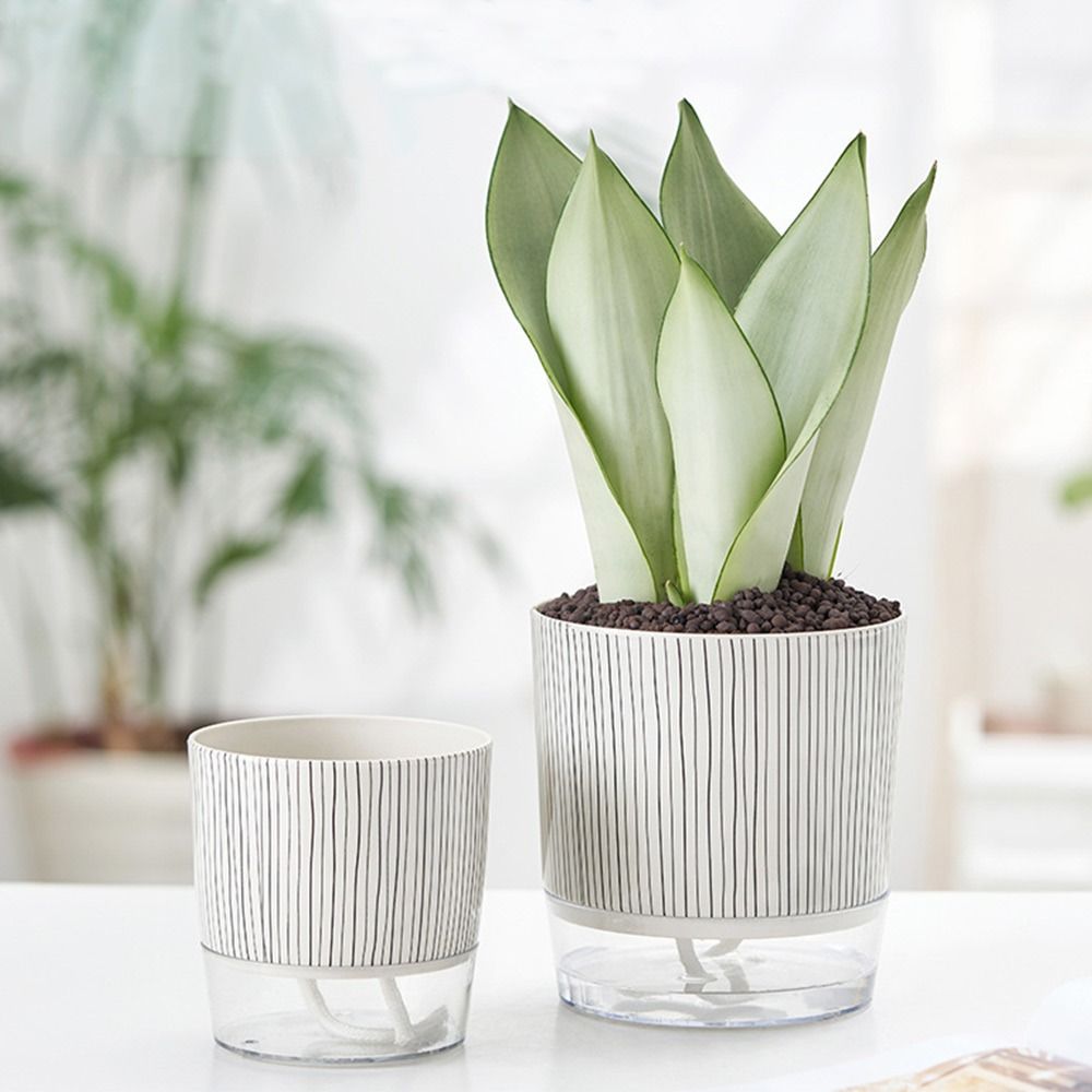 Şeffaf Kendinden Sulanan Bitki - Aloe Vera Pot incelemesi ve fiyatı