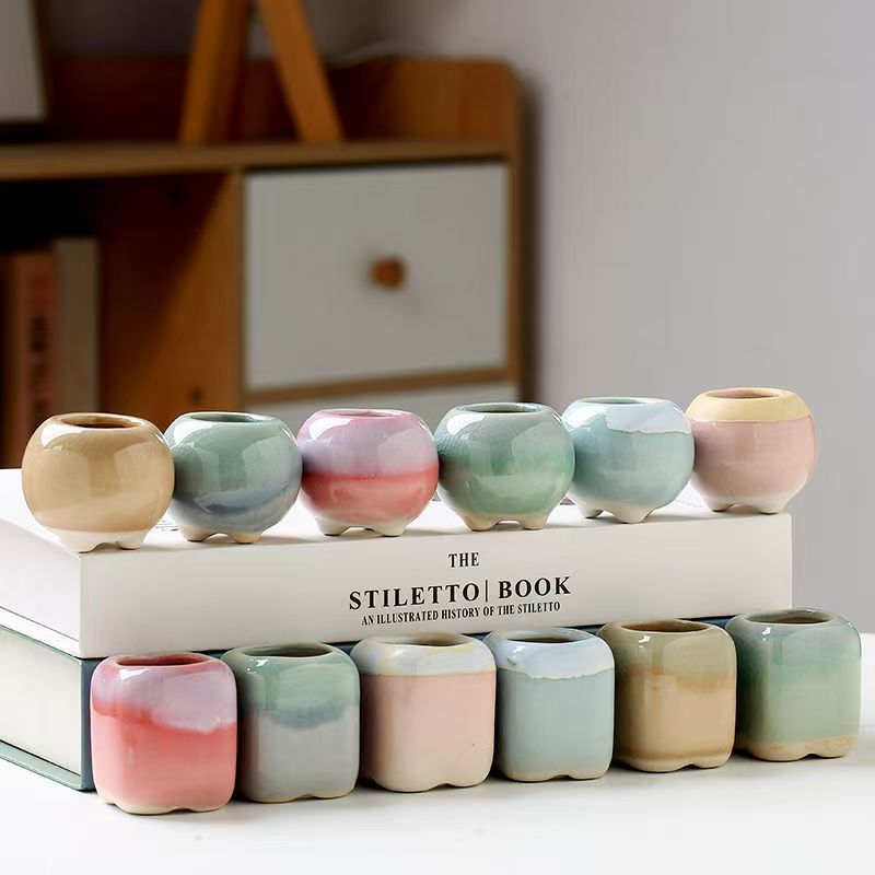 6 Adet Mini Saksı Succulents K - Echeveria Succulent incelemesi ve fiyatı