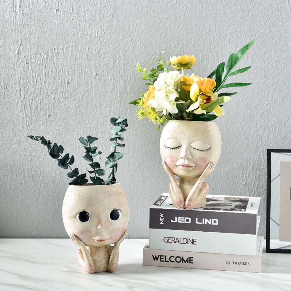 Kızlar Yüz Kafa Çiçek Ekici, E - Echeveria Succulent incelemesi ve fiyatı